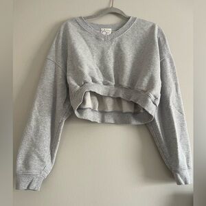 aerie Cropped V-Neck Sweatshirt - Light Gray